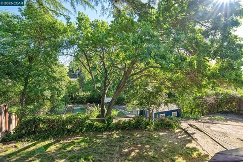 a view of a yard