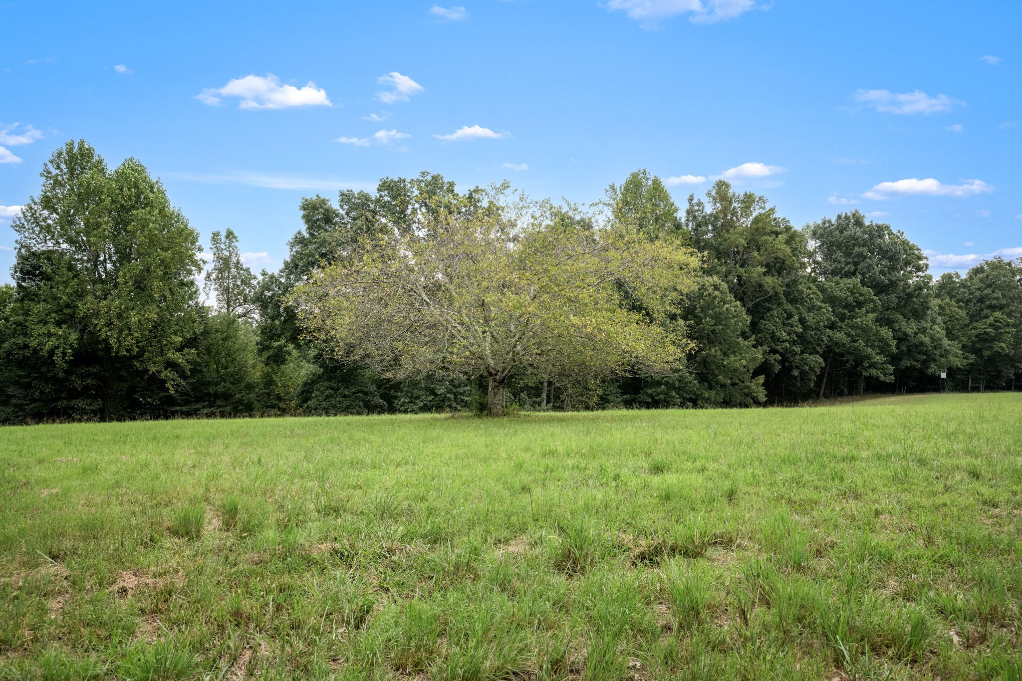 615 Carr Creek Road Normandy, TN 37360 - Photo 35 of 57 Gallery Image 35