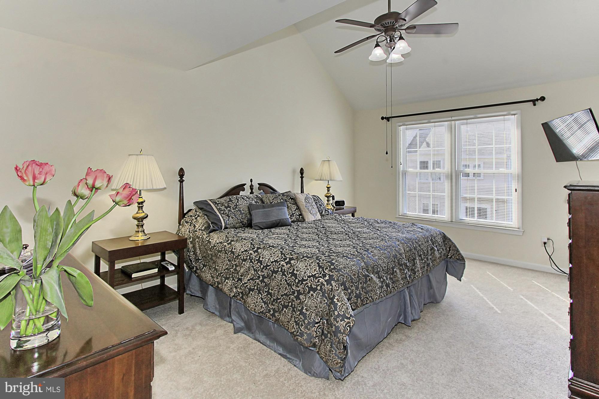 5817 Clapham Road Alexandria, VA 22315 - Photo 22 of 43