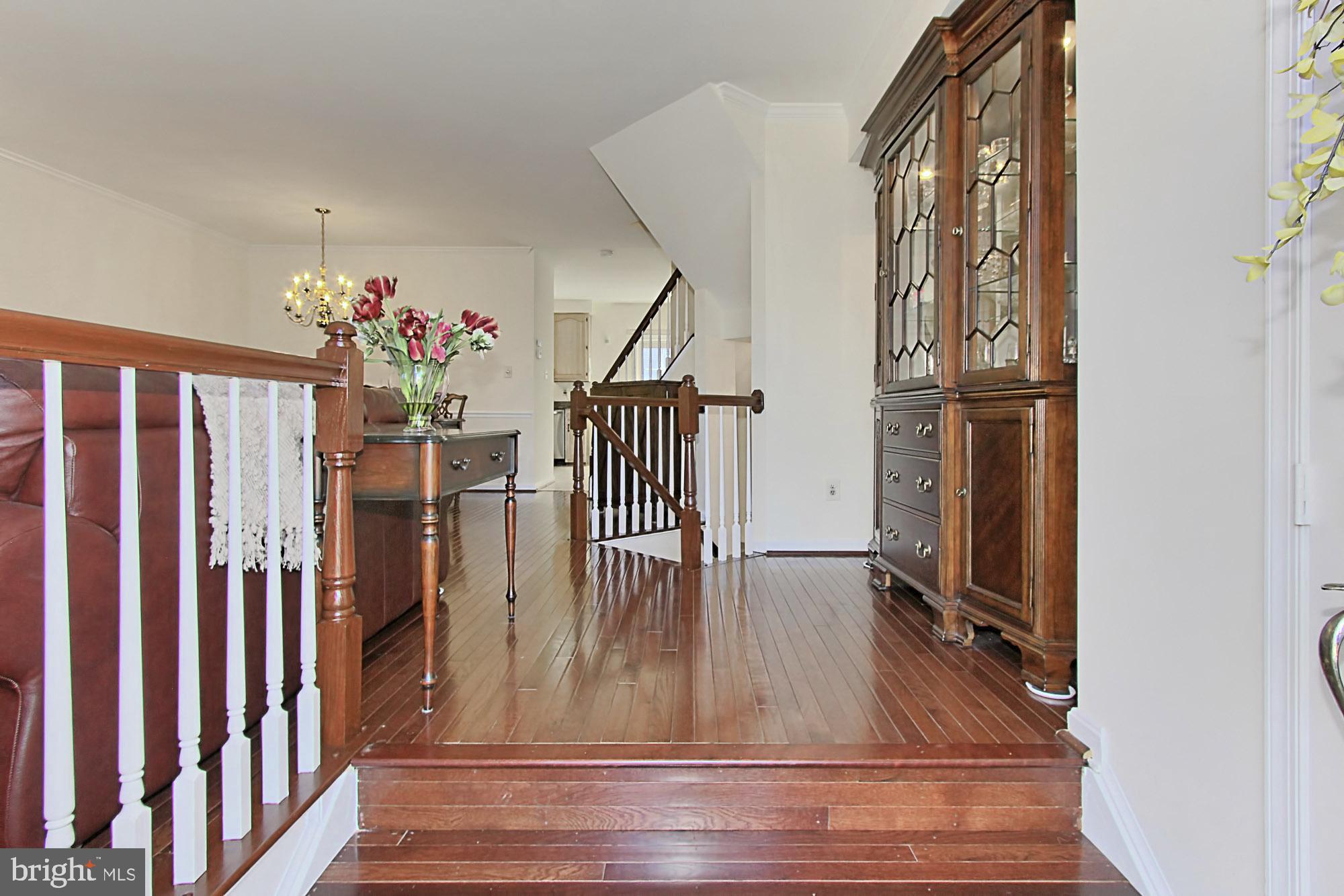 5817 Clapham Road Alexandria, VA 22315 - Photo 4 of 43