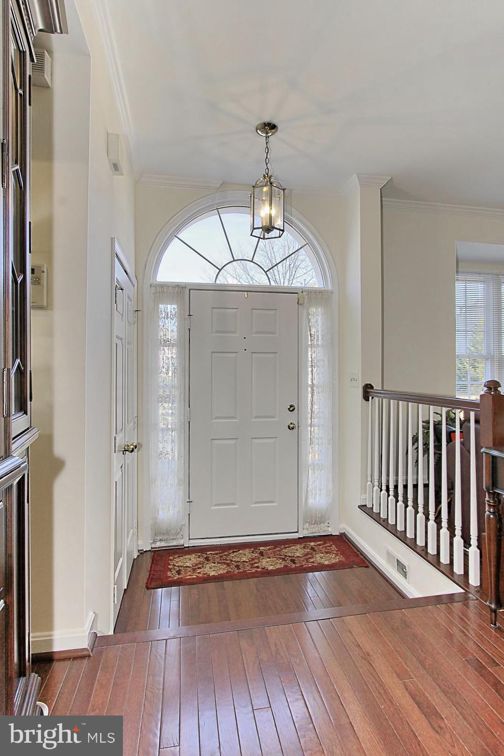 5817 Clapham Road Alexandria, VA 22315 - Photo 5 of 43