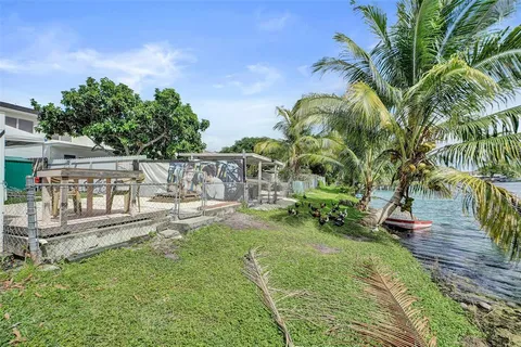 a view of a backyard with plants