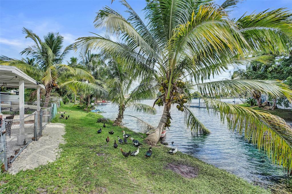 1732 West 72nd Street, Unit 1732 Hialeah, FL 33014 - Photo 50 of 58 a childrens park with lots of palm trees
