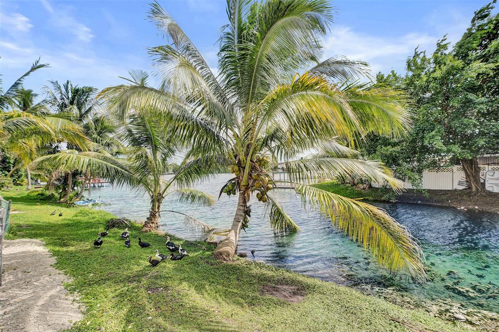 1732 West 72nd Street, Unit 1732 Hialeah, FL 33014 - Photo 53 of 58 a view of a yard with plants and large trees