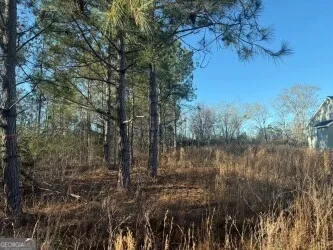 $359,000 | 4381 Nessmith Road, Statesboro, GA 30458