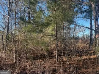 $359,000 | 4381 Nessmith Road, Statesboro, GA 30458