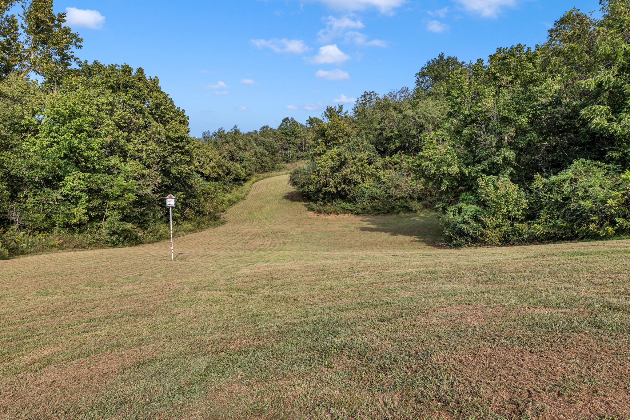 2188 Hicks Lane Columbia, TN 38401 - Photo 39 of 61 a view of a field with an ocean view