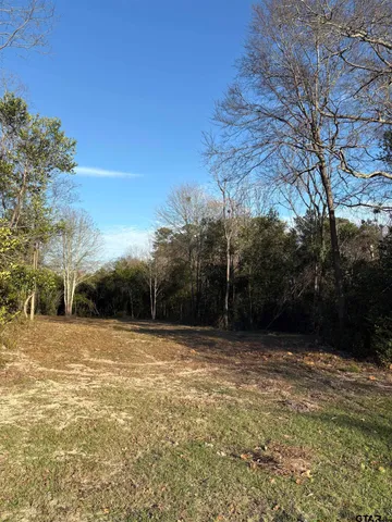 a view of a swimming pool with a yard