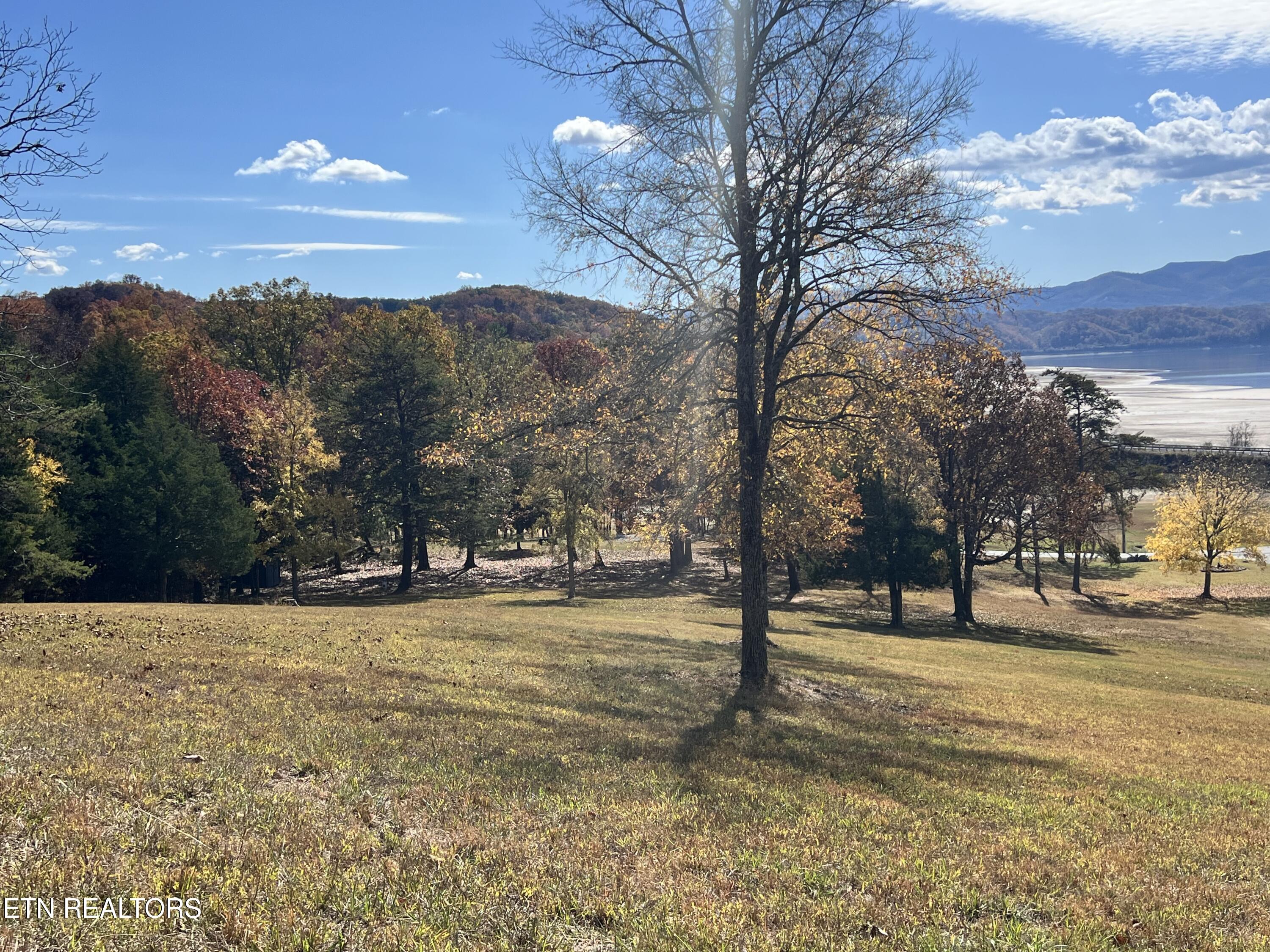 110 Rankin Hill Road Newport, TN 37821 - Photo 4 of 11 IMG-8312