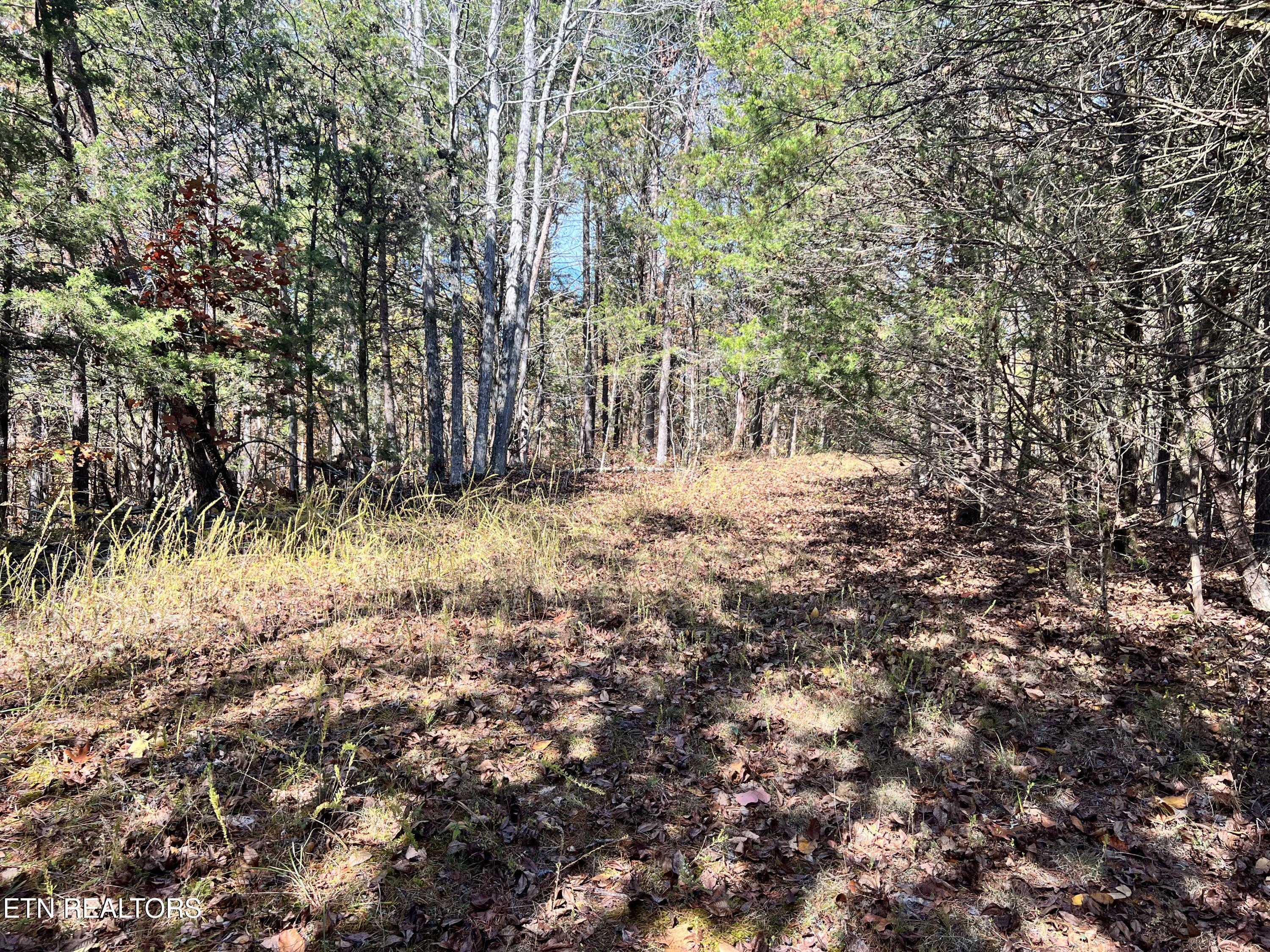 110 Rankin Hill Road Newport, TN 37821 - Photo 10 of 11 IMG-8313