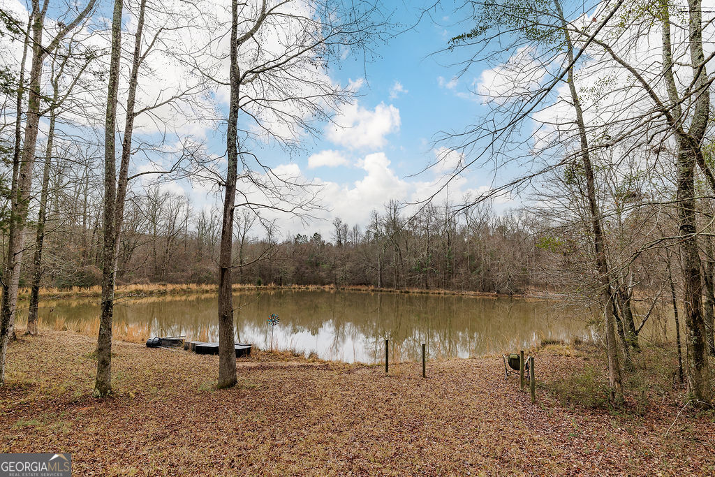 142 Meadow Lakes Road Lexington, GA 30648 - Photo 44 of 46