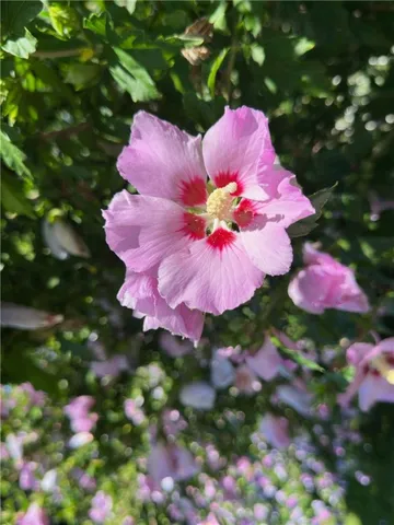 $795,000 | 2 Hamilton Road, Perinton, NY 14450