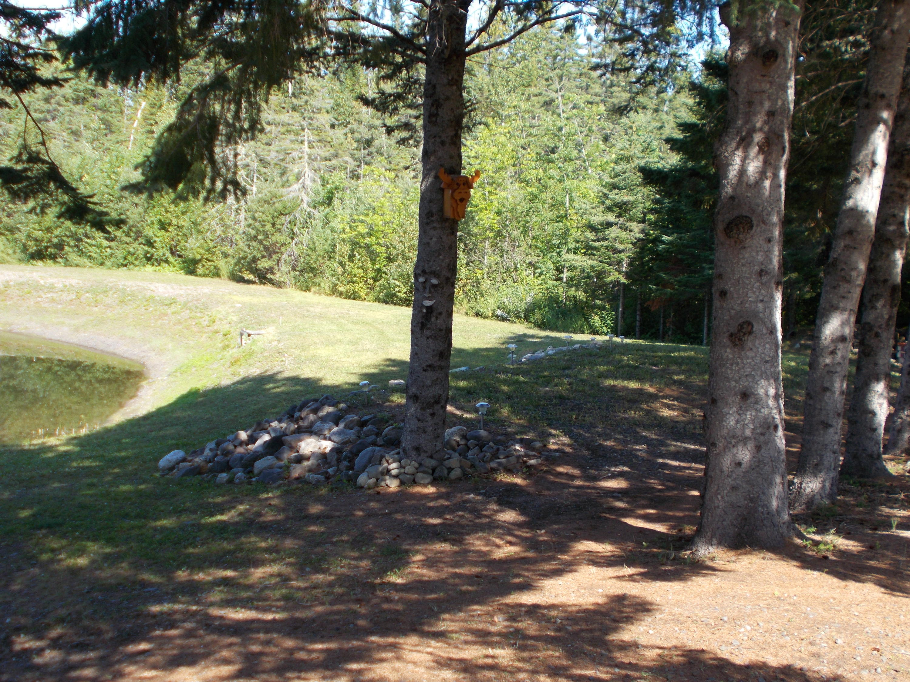 3575 West Chapman Road Mapleton, ME 04757 - Photo 16 of 55 DSCN8201