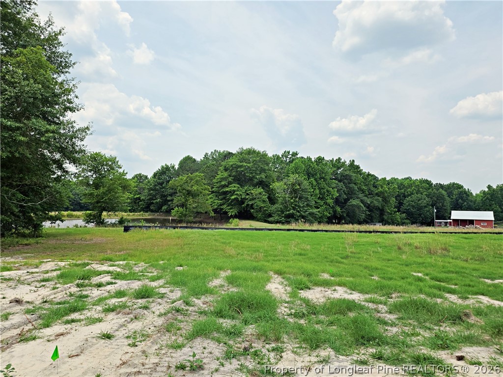 2678 Norrington Road Lillington, NC 27546 - Photo 31 of 31 a view of a big yard with a large trees
