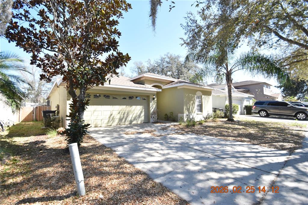 813 Parsons Pointe Street Seffner, FL 33584 - Photo 40 of 44