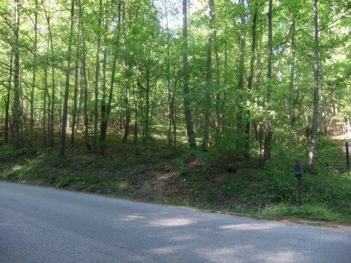 Duncan Hollow Road Harriman, TN 37748 - Photo 8 of 8 Additional Photo