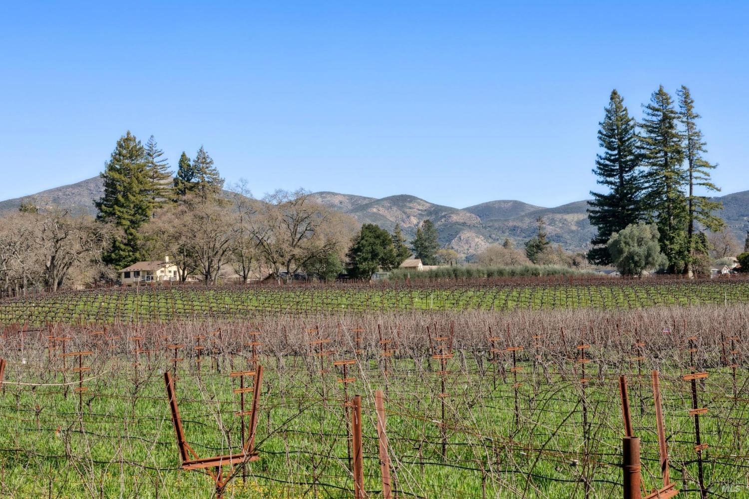 1180 Monticello Road Napa, CA 94558 - Photo 50 of 68