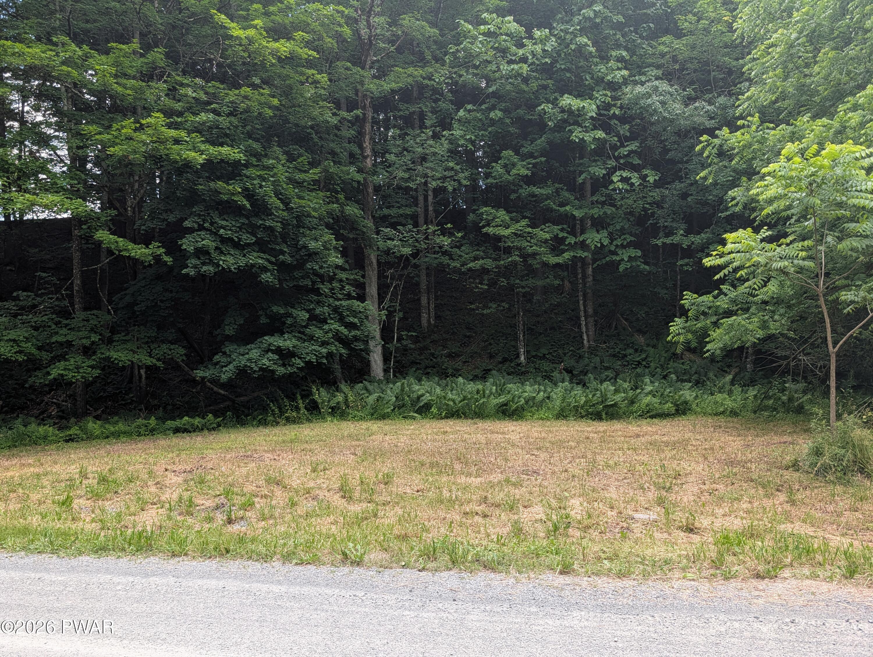 103 Hopkins Road Tyler Hill, PA 18469 - Photo 6 of 10