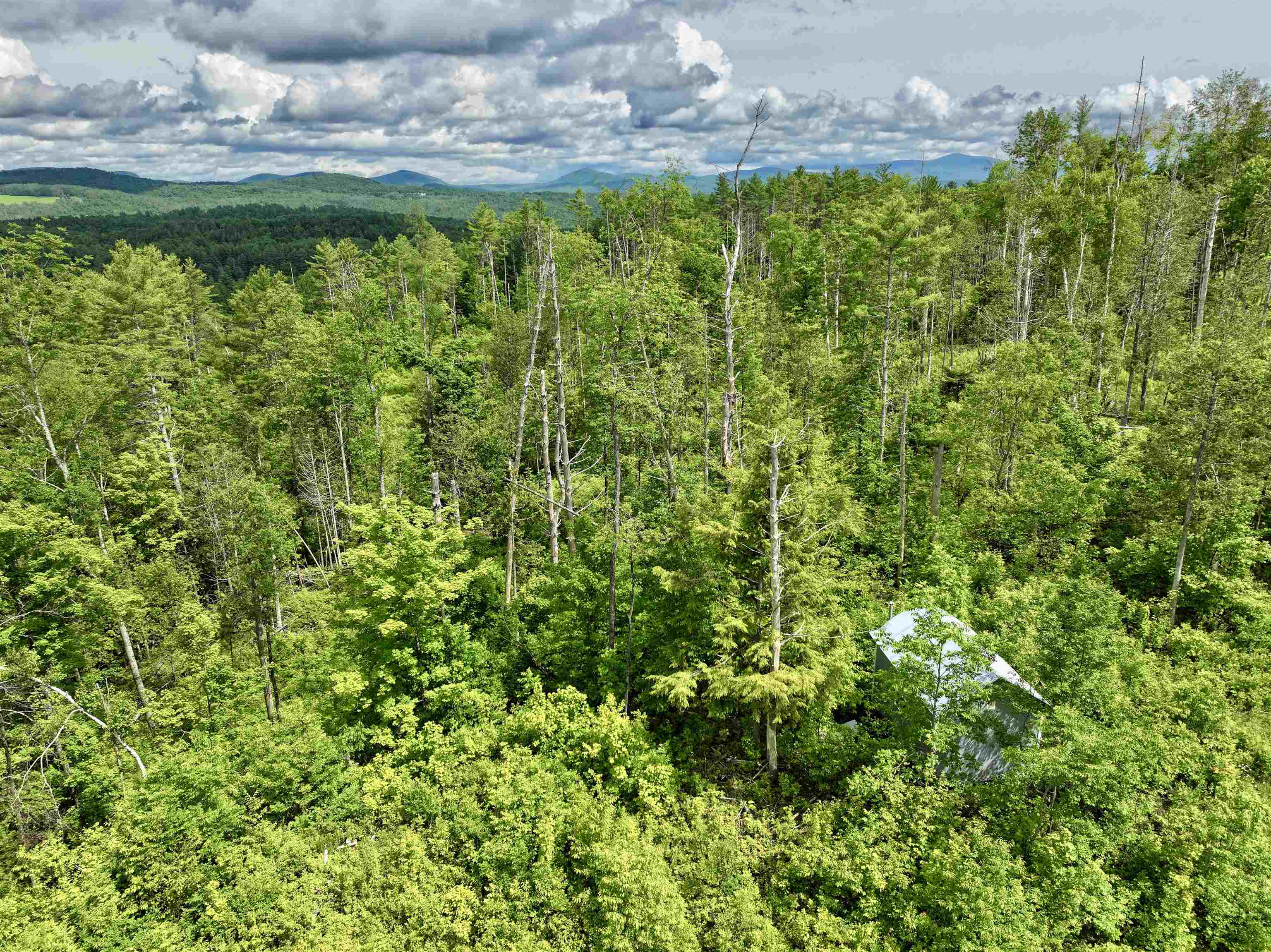 1723 Lightening Ridge Road Calais, VT 05667 - Photo 40 of 56