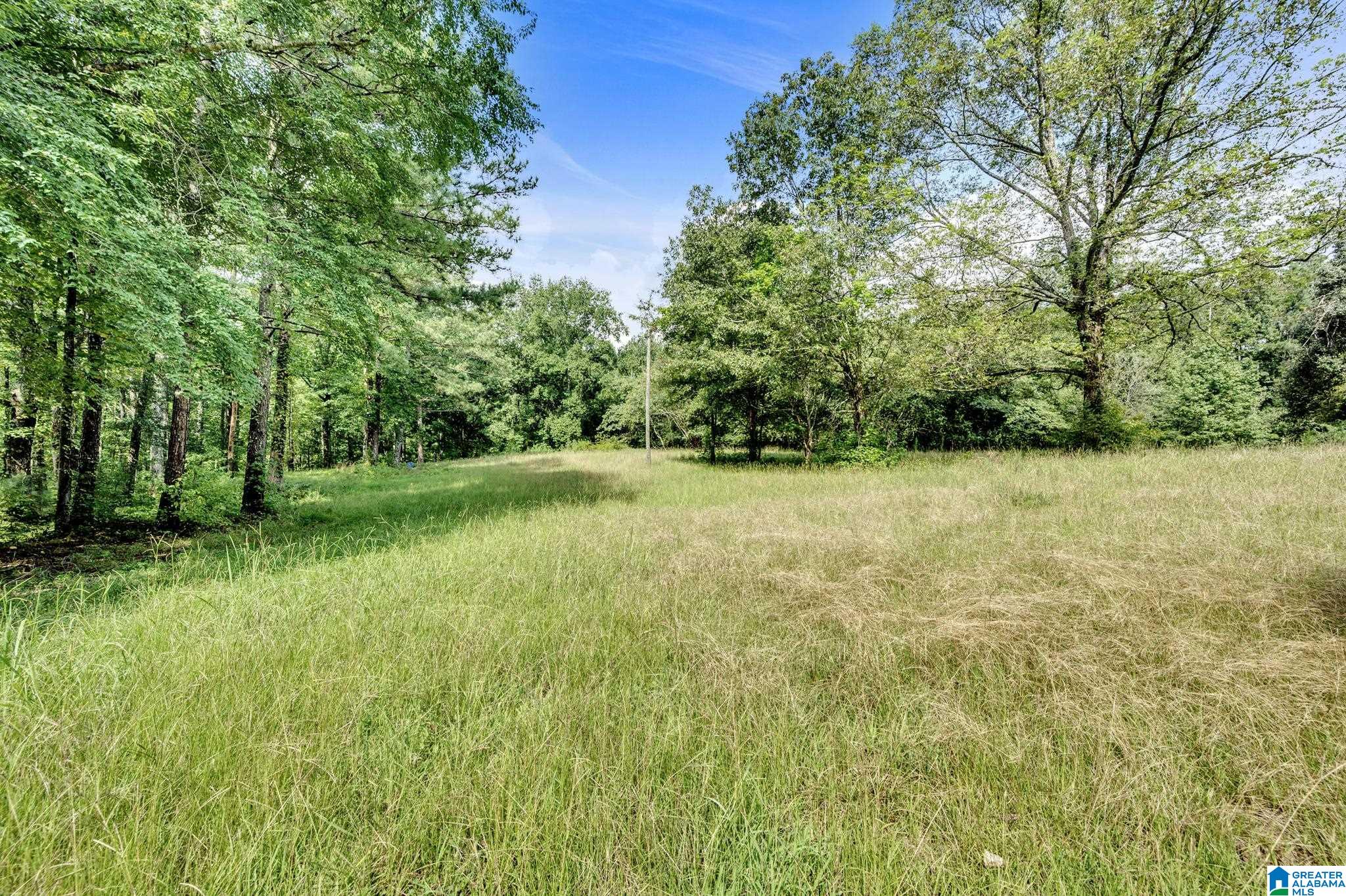 6971 Chambers Lane, Unit 1 Dora, AL 35062 - Photo 5 of 21