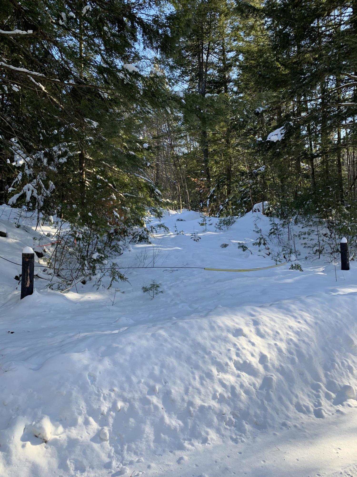 Lot 30 Lee Gray Road Harrison, ME 04040 - Photo 5 of 5 IMG_5297