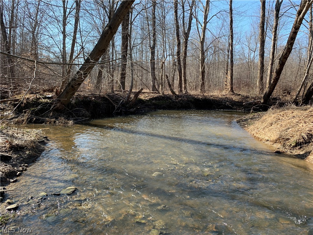 Brown Road Jefferson, OH 44047 - Photo 2 of 31 Gallery Image 2