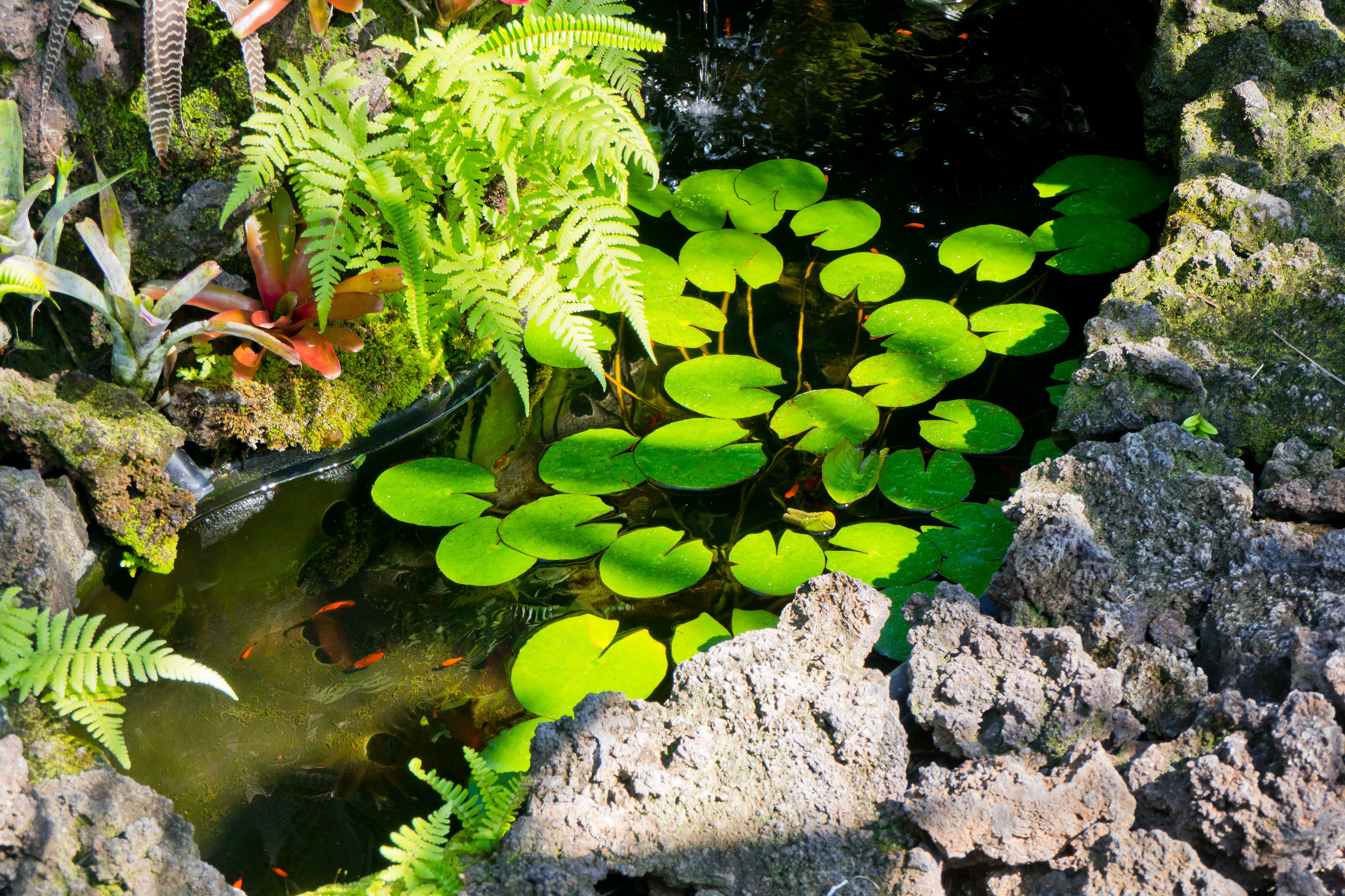 82-6277 Kahauloa Road Captain Cook, HI 96704 - Photo 24 of 29