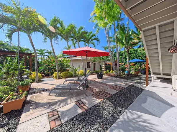 a view of a backyard with plants