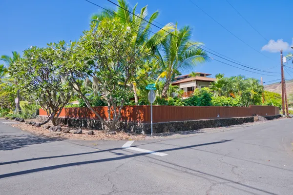 a view of street with flower plants