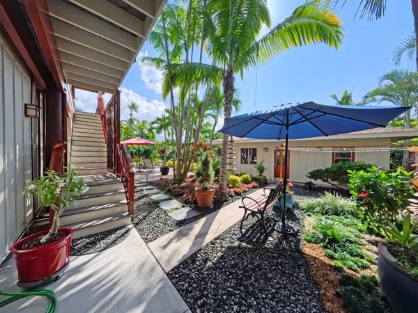 a view of a backyard with potted plants
