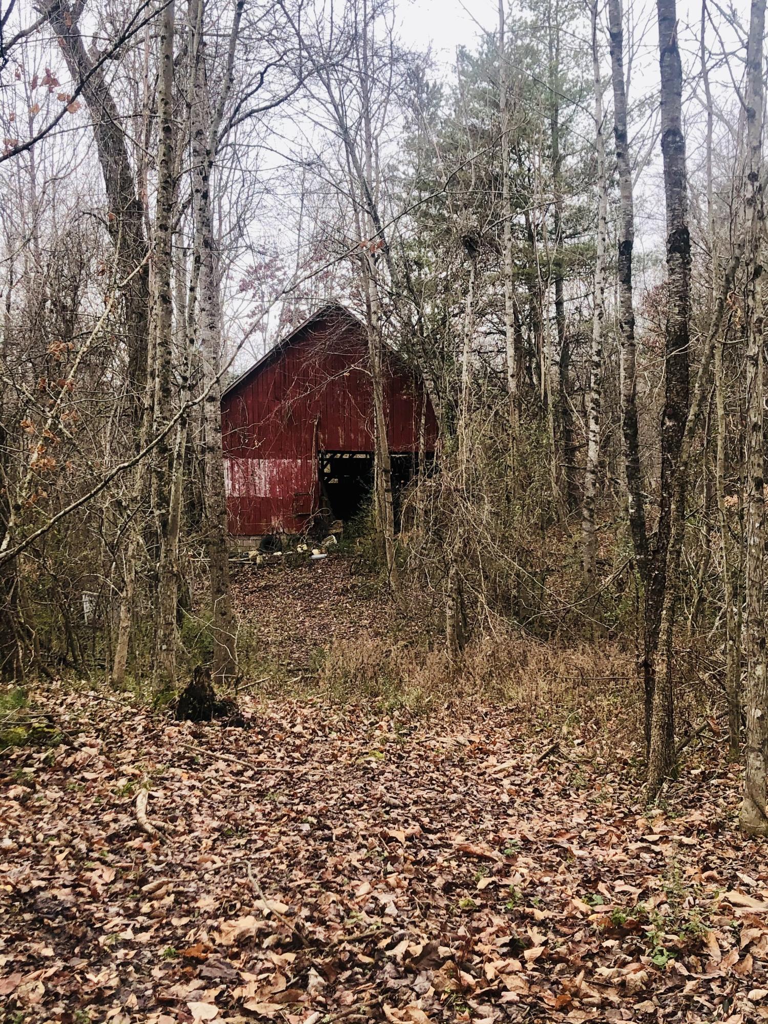 547 Patterson Road Walland, TN 37886 - Photo 11 of 11 IMG-4731
