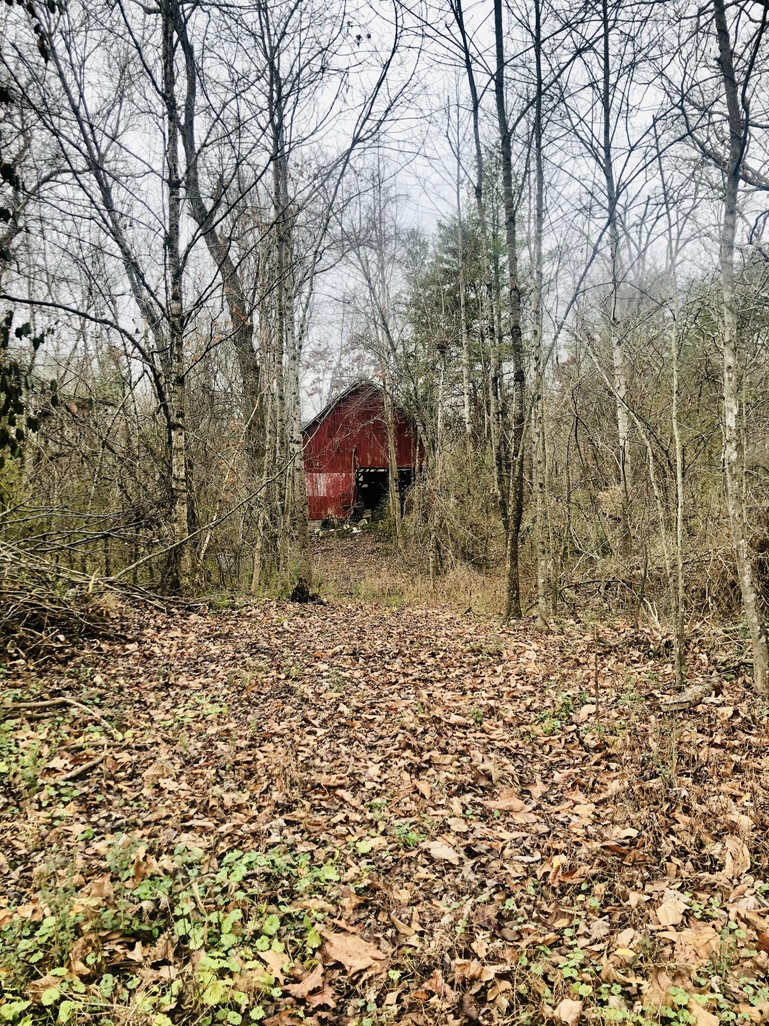547 Patterson Road Walland, TN 37886 - Photo 10 of 11 IMG-4729