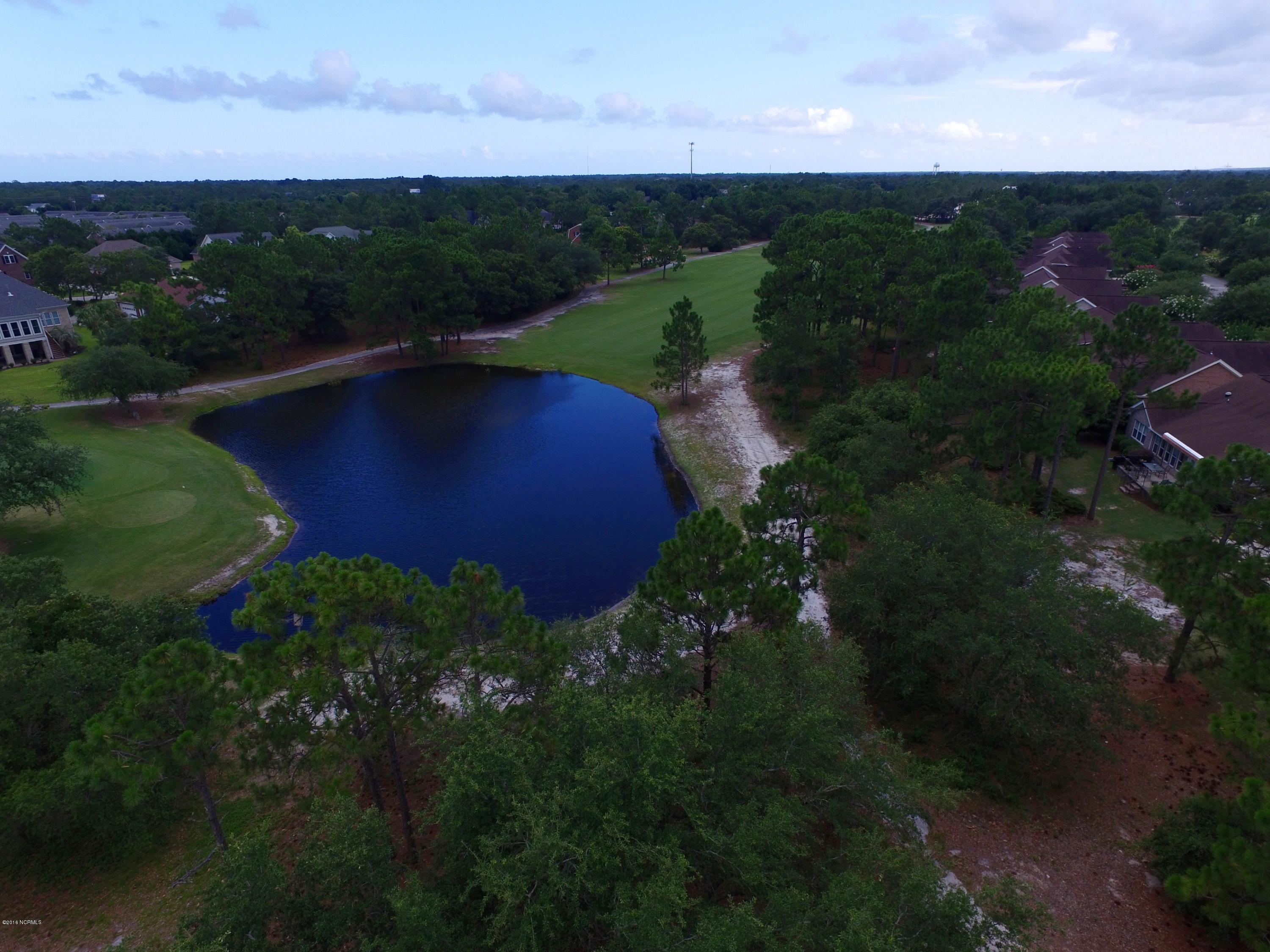 1117 Rivage Promenade, Unit PROMENADE Wilmington, NC 28412 - Photo 45 of 45 DJI_0131