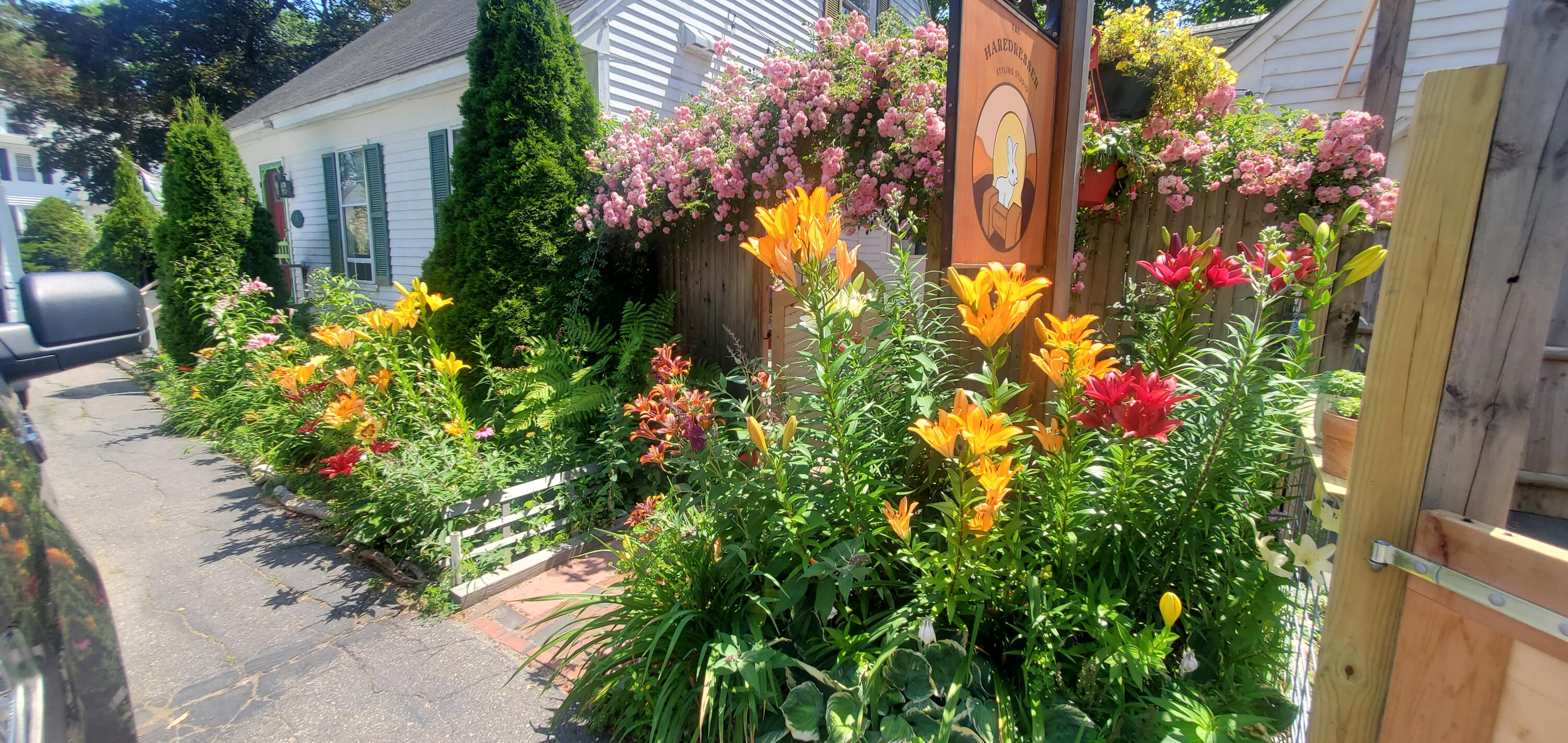 15 Dane Street Kennebunk, ME 04043 - Photo 48 of 52 DANE STREET GARDEN1