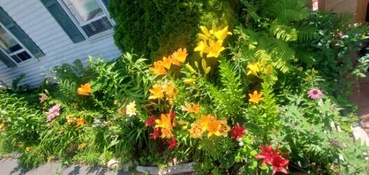 15 Dane Street Kennebunk, ME 04043 - Photo 49 of 52 DANE STREET 2