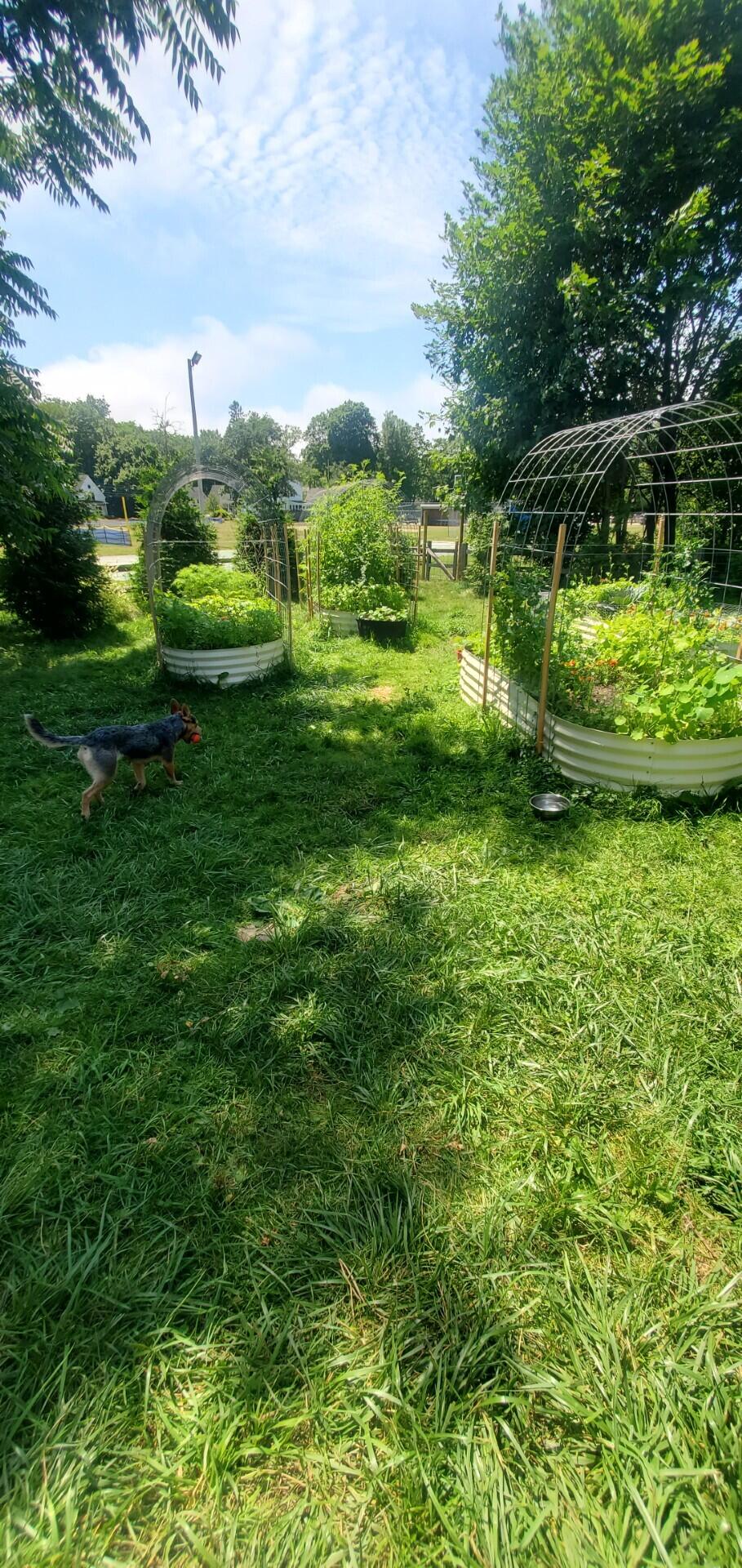 15 Dane Street Kennebunk, ME 04043 - Photo 51 of 52 DANE 4