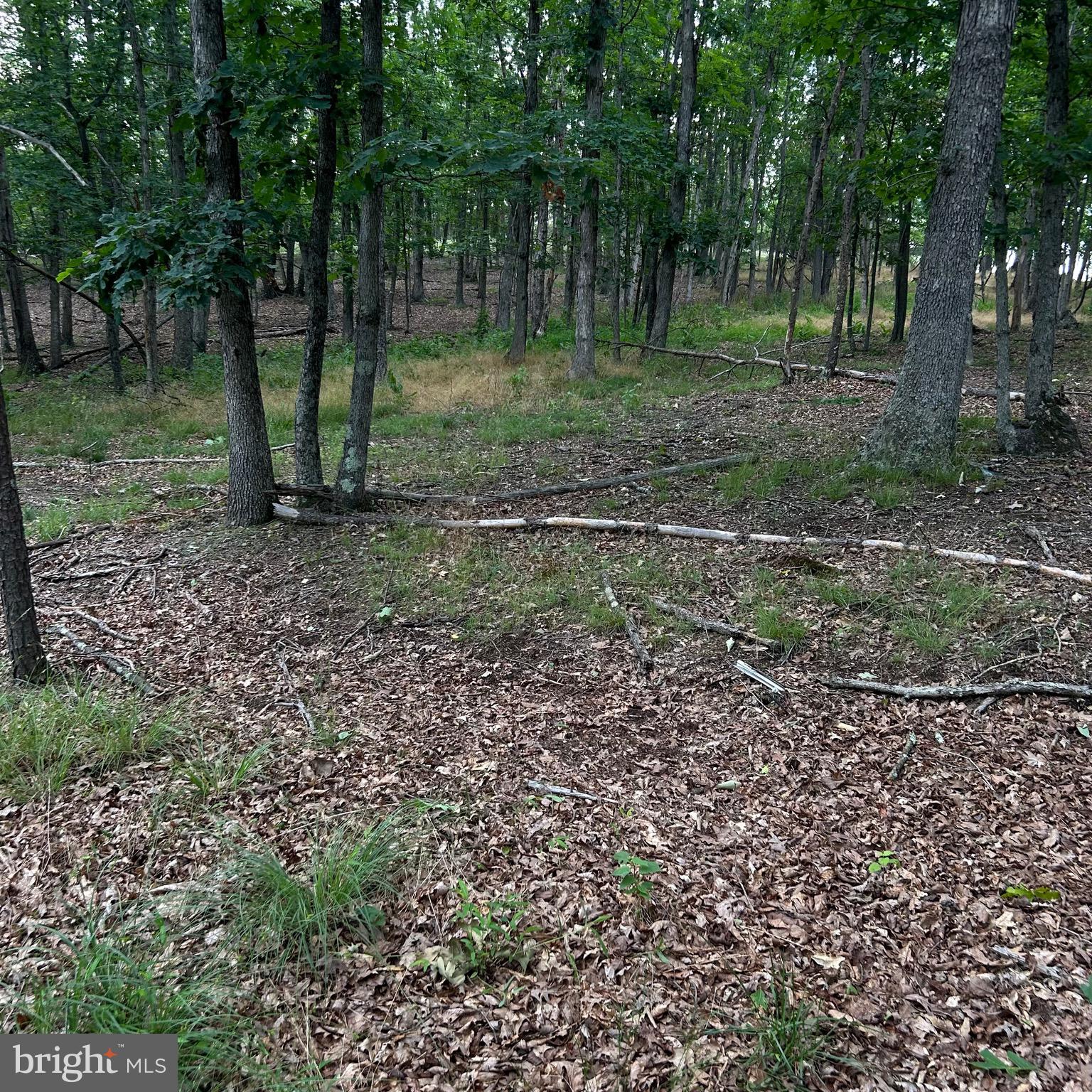 0 Headsville Road Keyser, WV 26726 - Photo 46 of 46