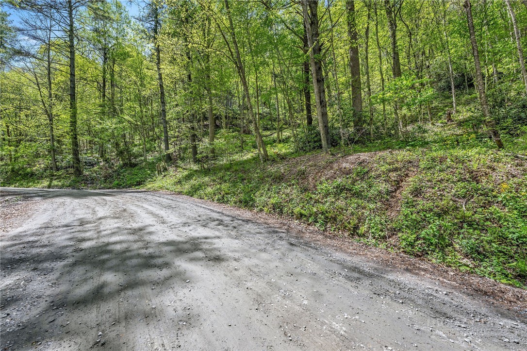 Canoe Gap Road West Jefferson, NC 28694 - Photo 19 of 20 Gallery Image 19