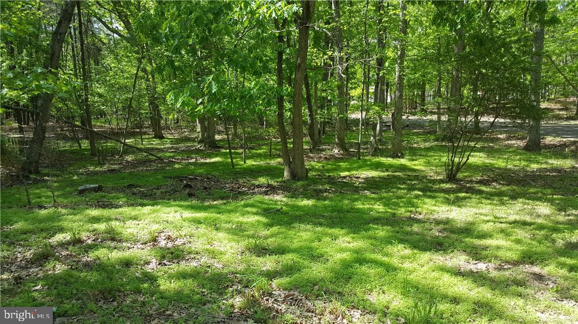 117 Wiseman Road Jackson, NJ 08527 - Photo 5 of 5