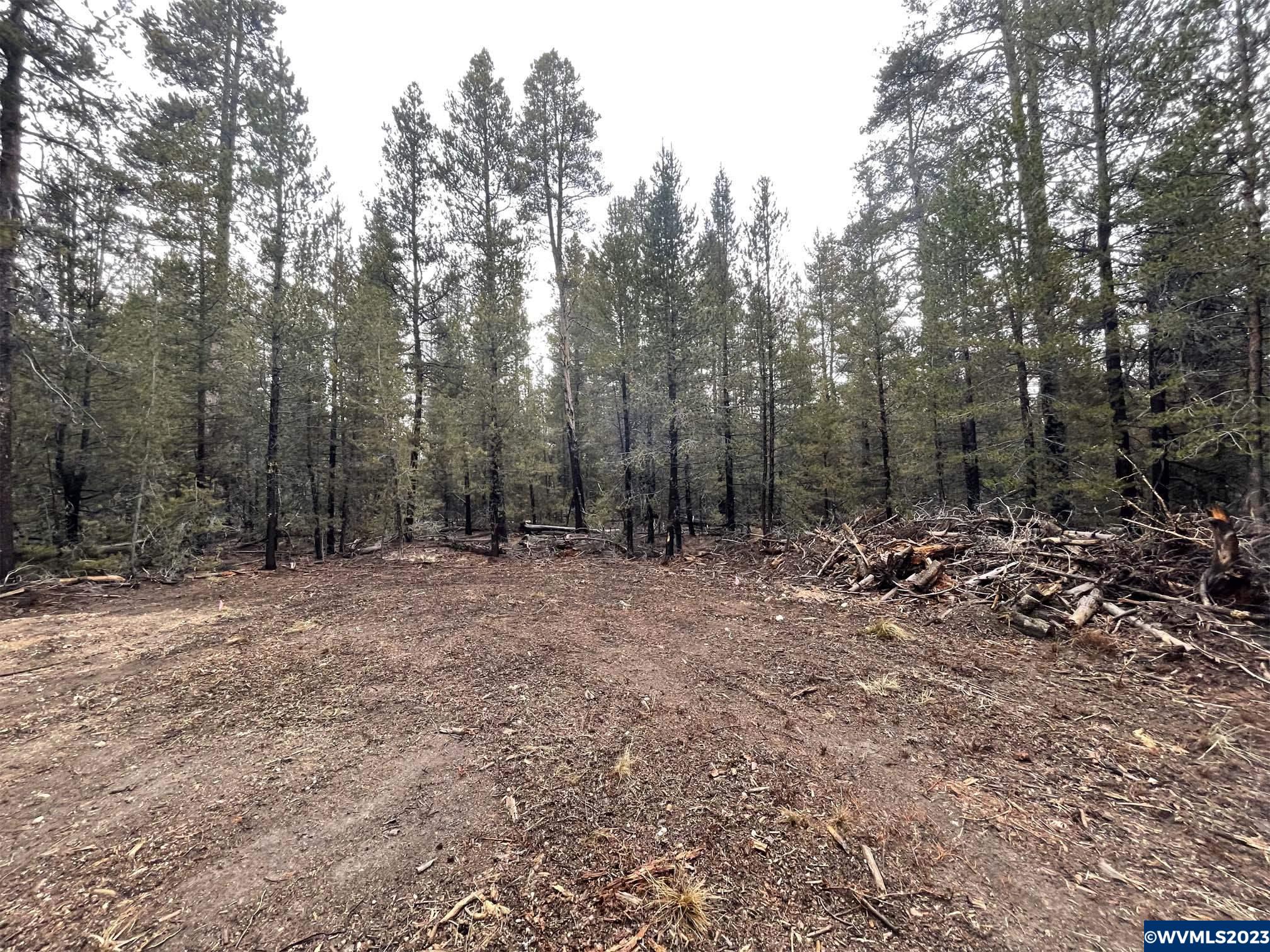 500 Cloudcap Drive Chiloquin, OR 97624 - Photo 3 of 23