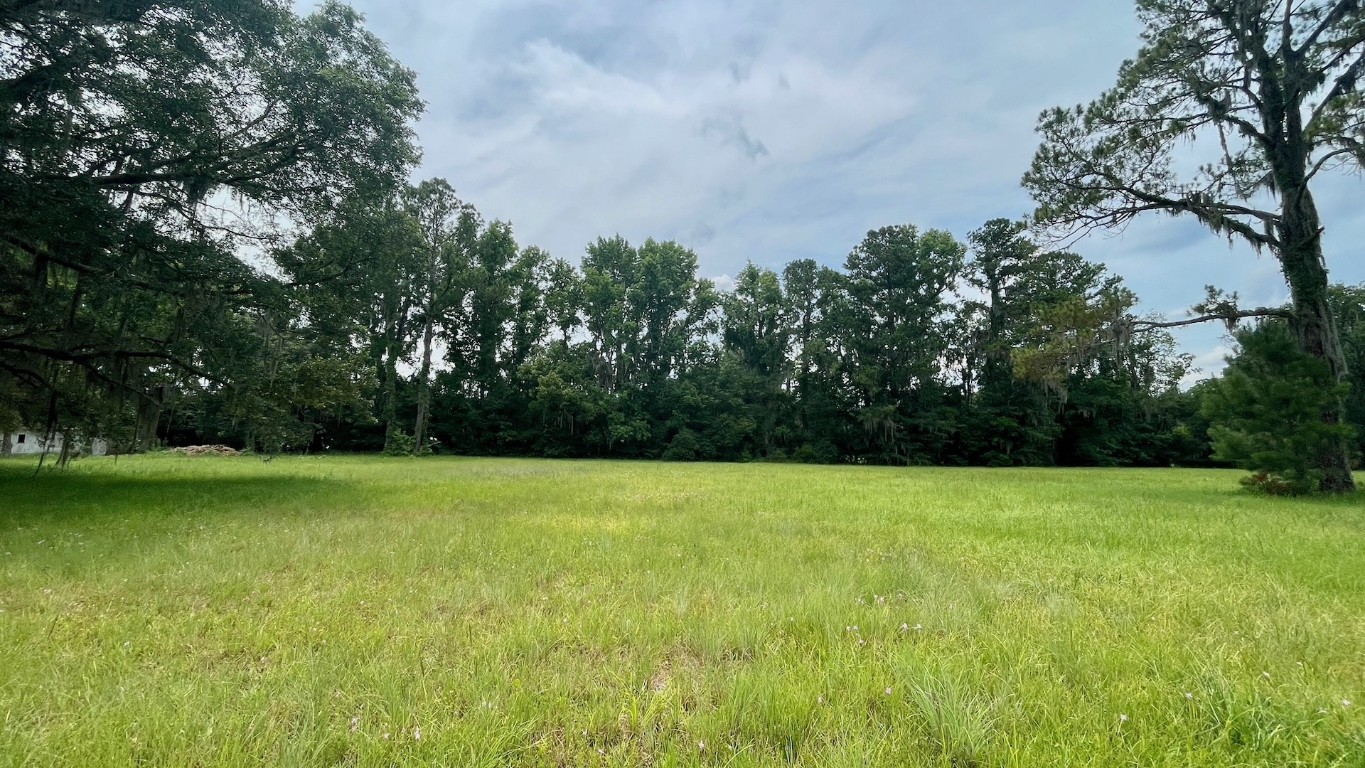 9 Hodges Road Callahan, FL 32011 - Photo 1 of 8 a view of field with tall trees