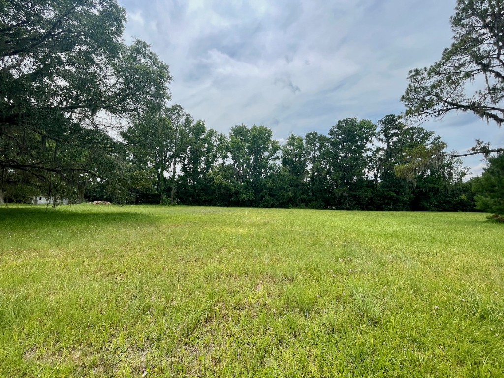 9 Hodges Road Callahan, FL 32011 - Photo 2 of 8 a view of a yard with a trees