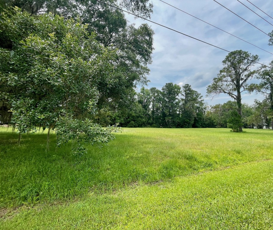 9 Hodges Road Callahan, FL 32011 - Photo 3 of 8 a view of a yard with a tree