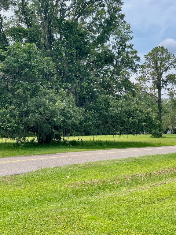 9 Hodges Road Callahan, FL 32011 - Photo 6 of 8 a view of a green field with trees in the background