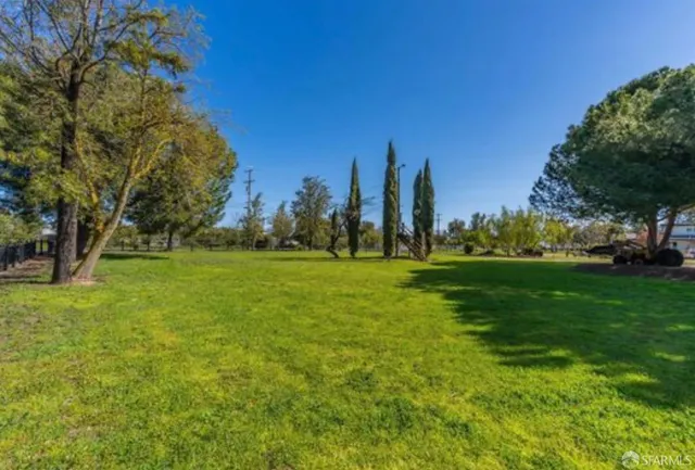 a view of park with a bench and trees