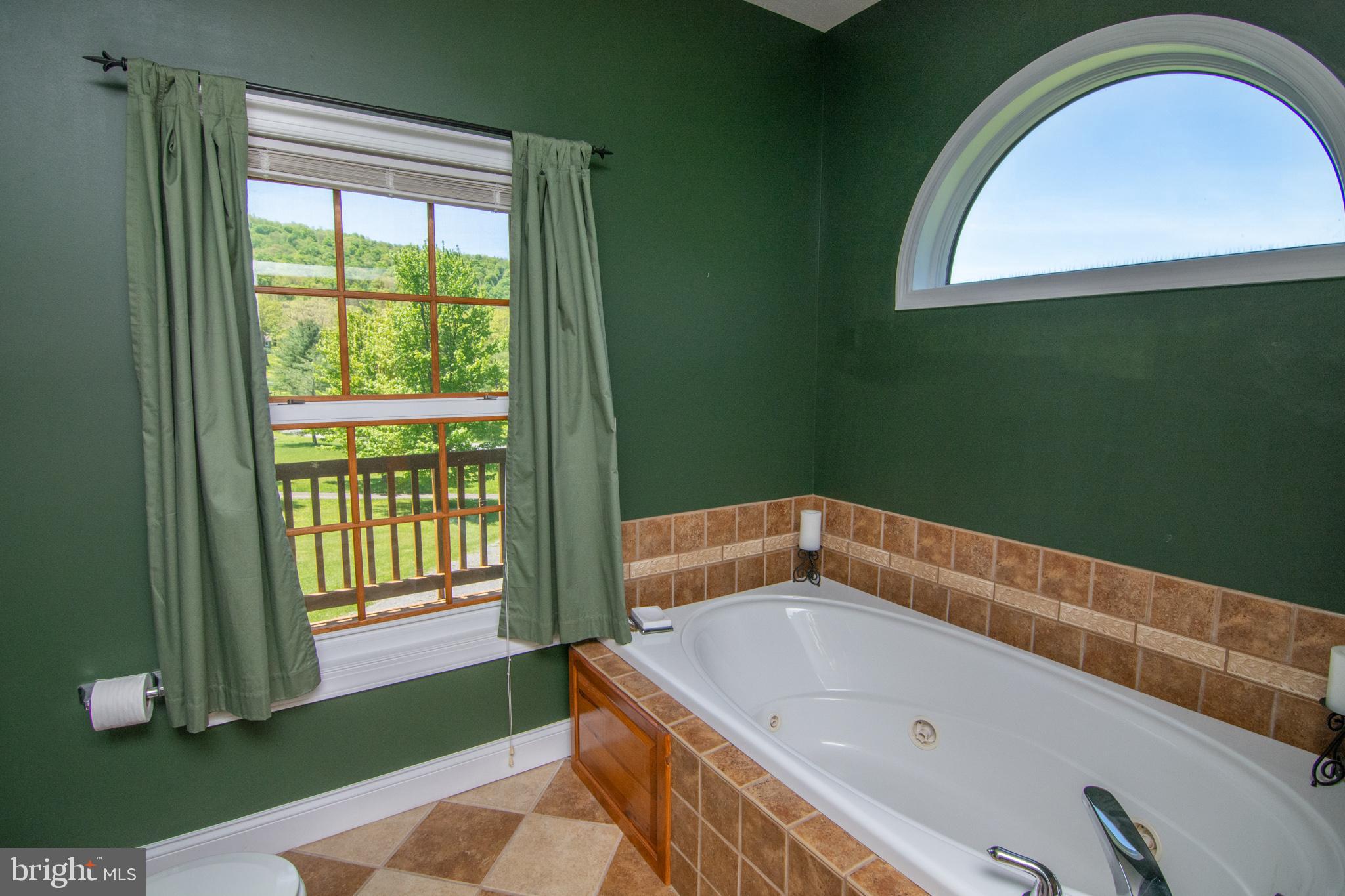 6154 Sang Run Road McHenry, MD 21541 - Photo 13 of 37 MASTER BATH