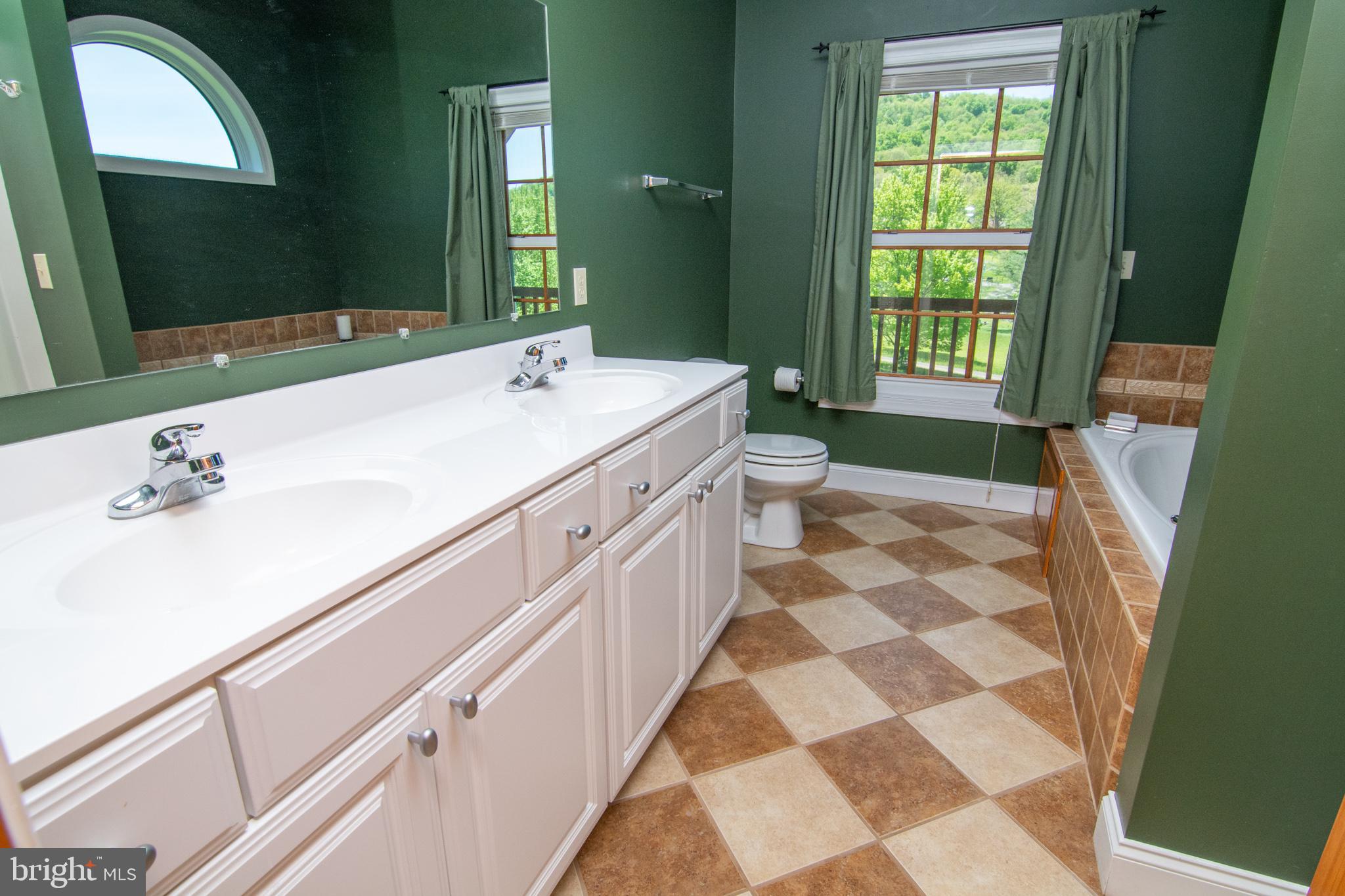 6154 Sang Run Road McHenry, MD 21541 - Photo 14 of 37 MASTER BATH
