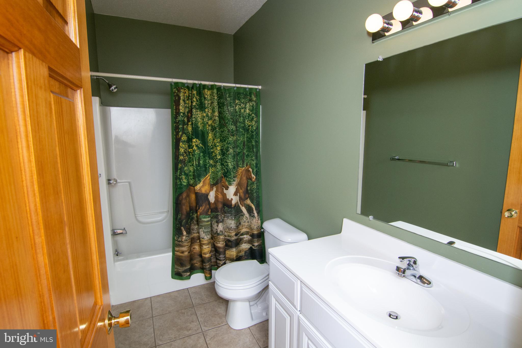 6154 Sang Run Road McHenry, MD 21541 - Photo 18 of 37 MAIN FLOOR COMMON BATH