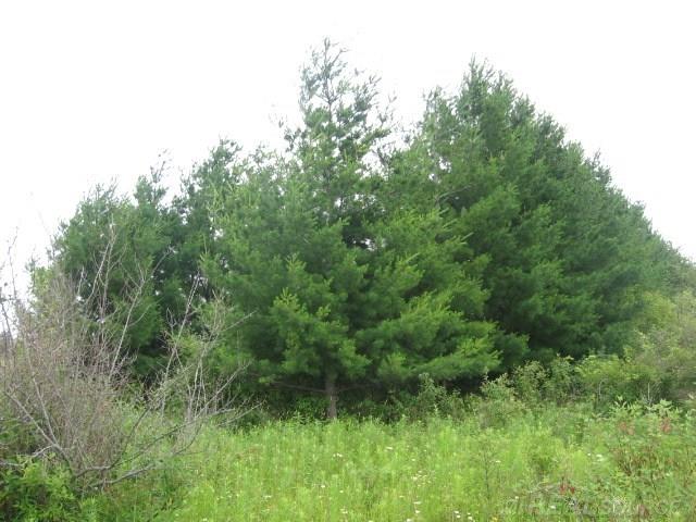 Tbd Sheridan Line Lexington, MI 48450 - Photo 7 of 14