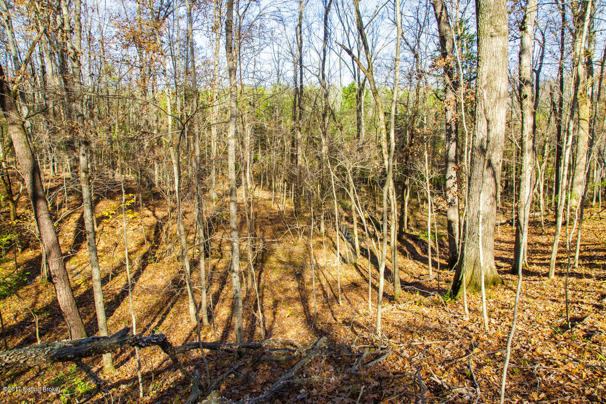 17609 Pope Dale Road Louisville, KY 40245 - Photo 60 of 72 17609 Popedale reshoot-16